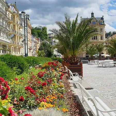 SPA Apartment Raisova Karlovy Vary Extérieur photo