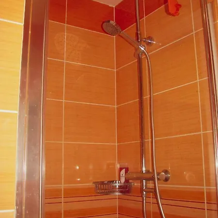 SPA Apartment Raisova Karlovy Vary Extérieur photo