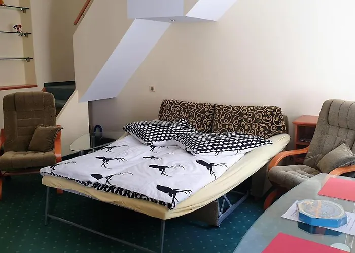 Spa Apartment Raisova