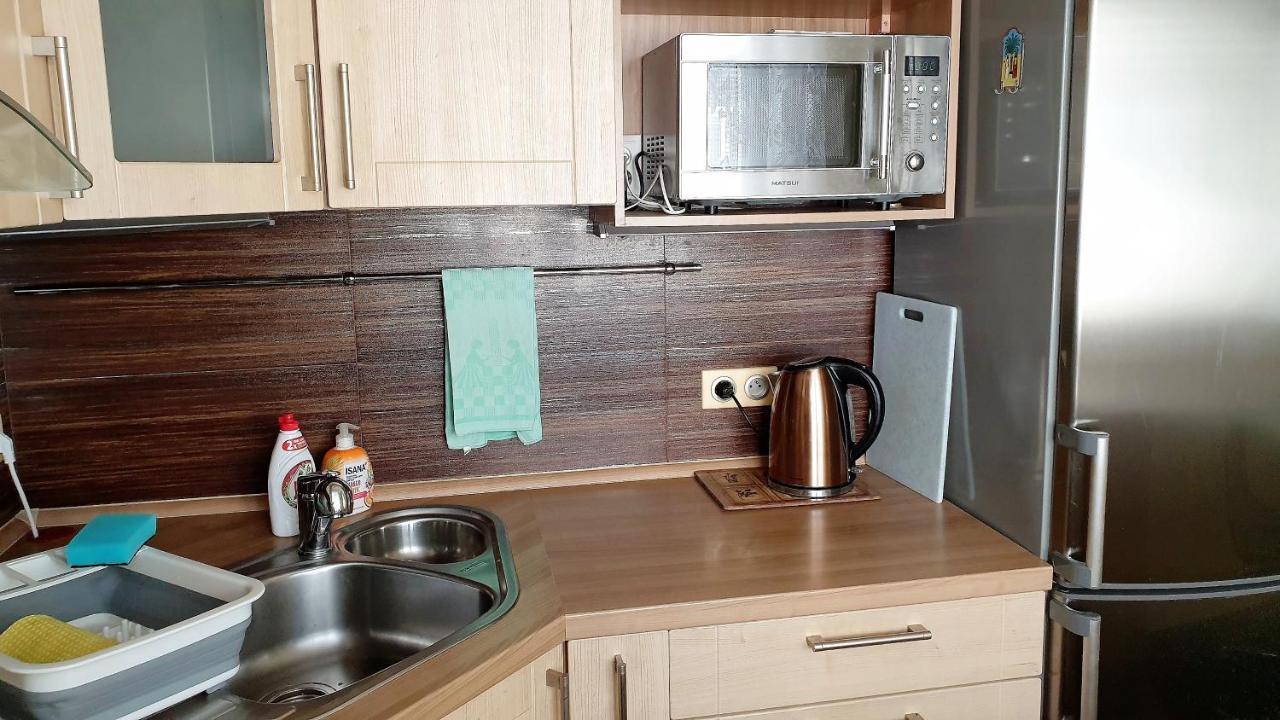 Apartment Raisova *